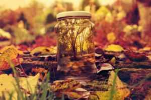 Хранить и не вскрывать до следующего года! )