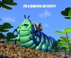 7 самых живучих существ на планете