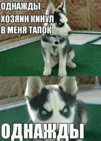  9 мифов, в которые многие из нас продолжают верить