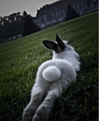 Хотите киску посмотреть?