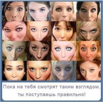 Глаза животного мира