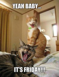 Лучшие фотографии National Geographic 2014