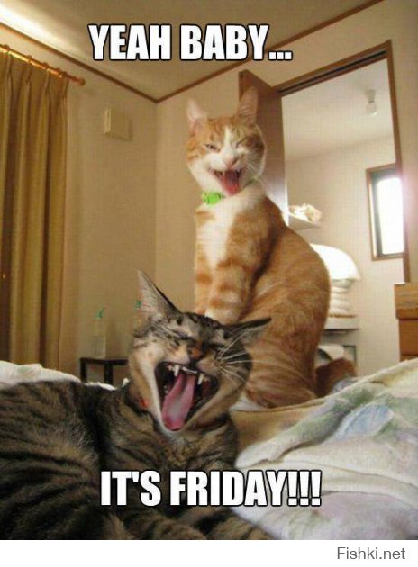 Лучшие фотографии National Geographic 2014