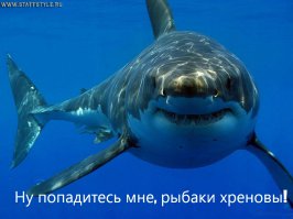 10 самых крупных акул пойманных человеком