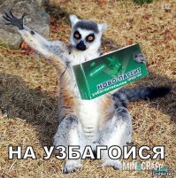 Истеричка за рулём