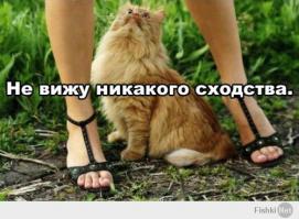 Фишкина солянка за 12.06.2014