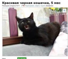 Фишкина солянка за 01.10.2014 