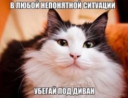 Фишкина солянка за 01.10.2014 