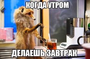 Фишкина солянка за 01.10.2014 
