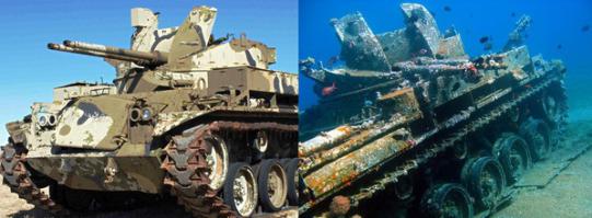 Вдогонку
Оба танка из одного и того же места и времени. У танка справа есть устрицы а у левого нет.