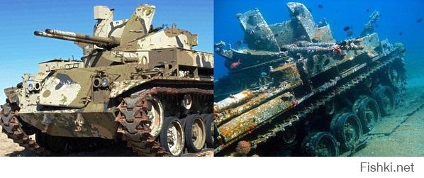 Вдогонку
Оба танка из одного и того же места и времени. У танка справа есть устрицы а у левого нет.