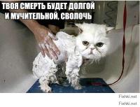 А по теме:
