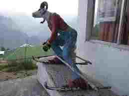 Ну что за козлы!!!