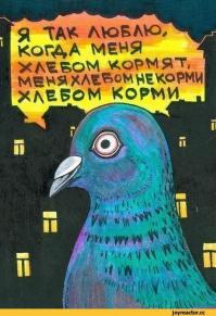 Фишкина солянка за 26.08.2014