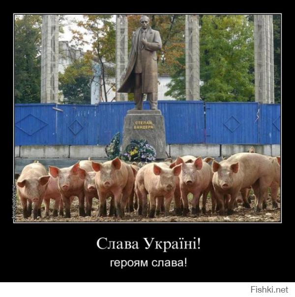 Демотиваторы про Украину
