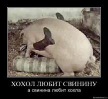 Данные авиадиспетчеров подтвердили