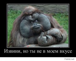 Девушки в коротких платьях 