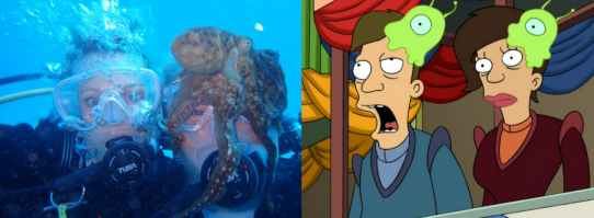 Фотоподборка за 30.01.2015