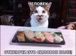 Фотоподборка за 16.02.2015