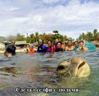 Фотоподборка за 23.04.2015