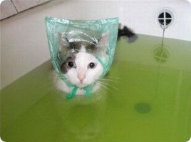 До и после душа