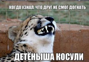 Фотоподборка за 12.05.2015