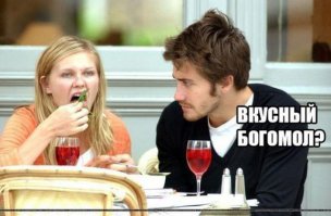 Фотоподборка за 15.05.2015