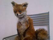 почему эпик забыли?