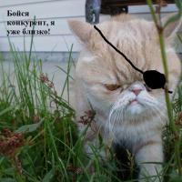 У Грампи появился конкурент