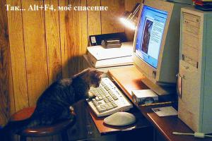 В Великобритании интернет-троллей предложили сажать в тюрьму на 2 года