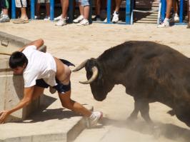 Такие кадры бывают раз на миллион