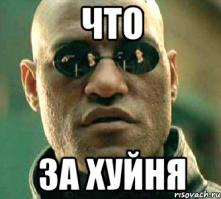 про смысл жисти и всё-всё)