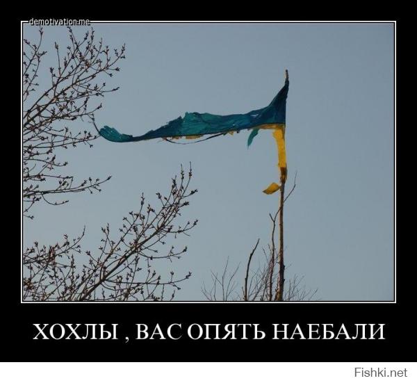 Солянка для Майдана. Часть 35