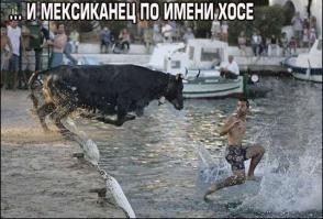 Коррида в гифках