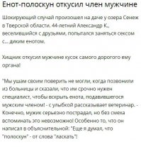 "Eсть такие люди, к которым хочется подойти, взглянуть в глаза, обнять за плечи, и ласково так спросить: «Как же ты живешь, без мозгов-то?»".