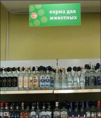 Смешные надписи и объявления