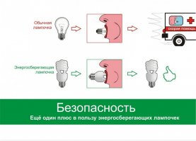Интересные факты с фото