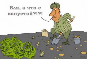 Фотоподборка за 30.01.2015