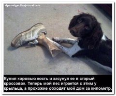 Надо будет своей кошечке такую игрушку сделать.