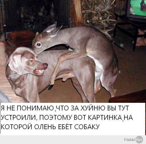 а такто, по теме: