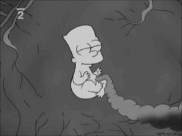 Фотоподборка за 29.08.2014