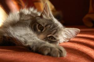 Мой в детстве)