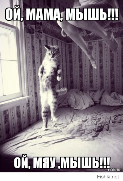 Из солянки от 19.12.2014