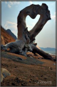 С САХАЛИНА С ЛЮБОВЬЮ :)