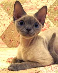 ОФИГЕЛ ОТ УВИДЕННОГО