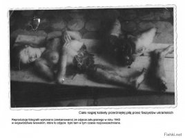 дружище..  как же  поляки могли забыть Вольнскую резню???? Ведь вырезали именно бандеровцы.. резали убивали аж до младенцев