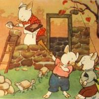 Как восстанавливаются дома после торнадо