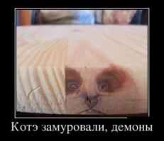 Пилить или не пилить