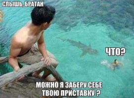 Страшные и прекрасные акулы 