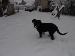 Боня, еще пока зима!